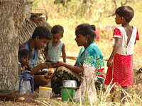 Tamil family takes refuge in Vanni forest Tamil family takes refuge in Vanni forest
