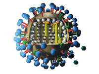 Swine influenza virus Swine influenza virus