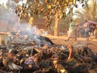 Tamils in Sri Lanka Tamils in Sri Lanka