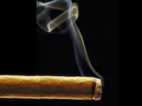 Cigarette Cigarette