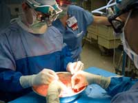 Organ Donation Organ Donation