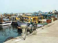 Rameswaram Fishing Harbour Rameswaram Fishing Harbour