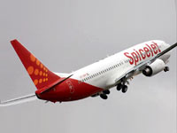 Spicejet Spicejet