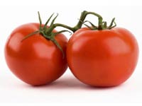 Tomato Tomato