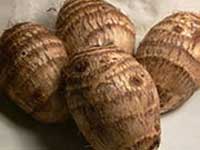 Root Vegetables Root Vegetables