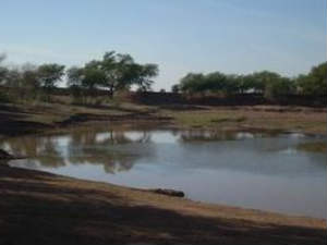 Village Pond Village Pond