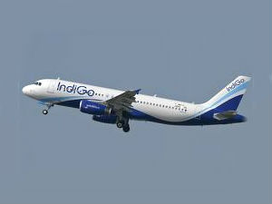 IndiGo IndiGo