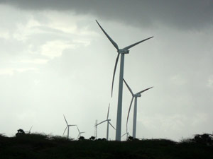 wind mills wind mills