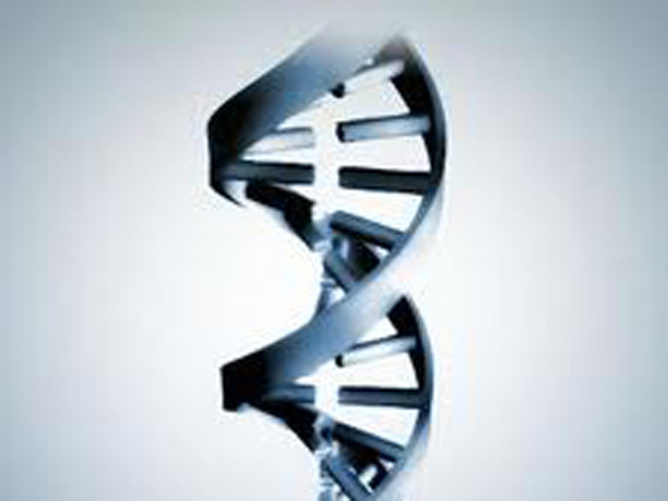 செல்லை பல ஆண்டுகள் பின்னோக்கி பயணிக்க வைத்தவர்...