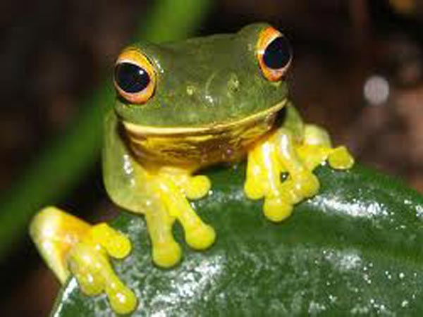 ஒரு செல்லை எடுத்து, அதன் நியூக்ளியஸைப் பிரித்து...