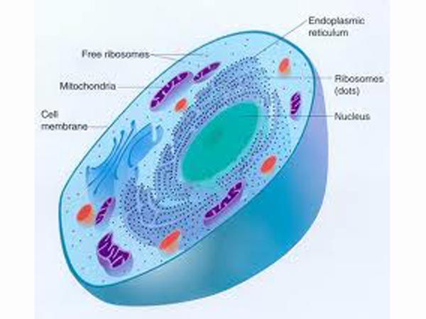 உருப்பட மாட்டே என்ற ஆசிரியர்கள்..