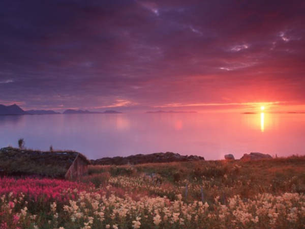 வட-தென் துருவ பகுதிகளில் தான்...