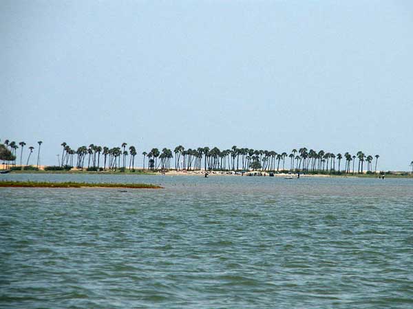 பழவேற்காடு ஏரி பழவேற்காடு ஏரி
