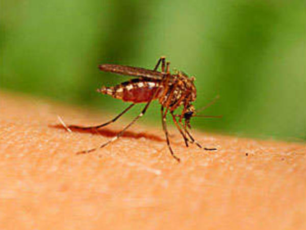 டெங்கு வரும் எச்சரிக்கை