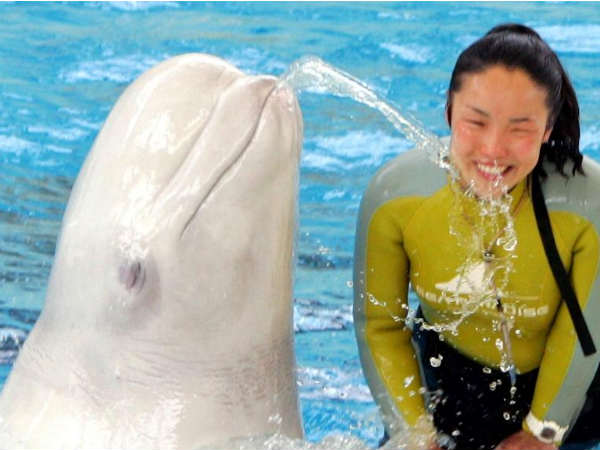 மனிதர்களைப் போல பேச்சு