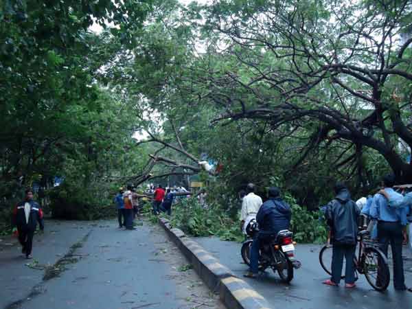 தானே மாதிரி ஆயிருமோ...?