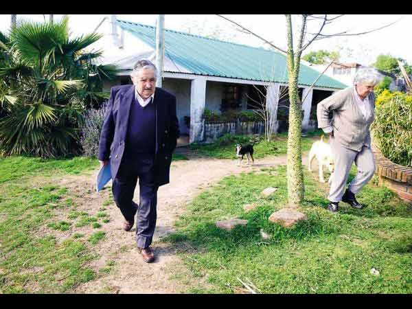 வண்டு முருகன்களின் வாலாட்டம்