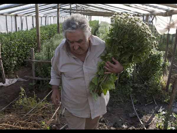 சம்பளத்தை என்ன செய்கிறார்?