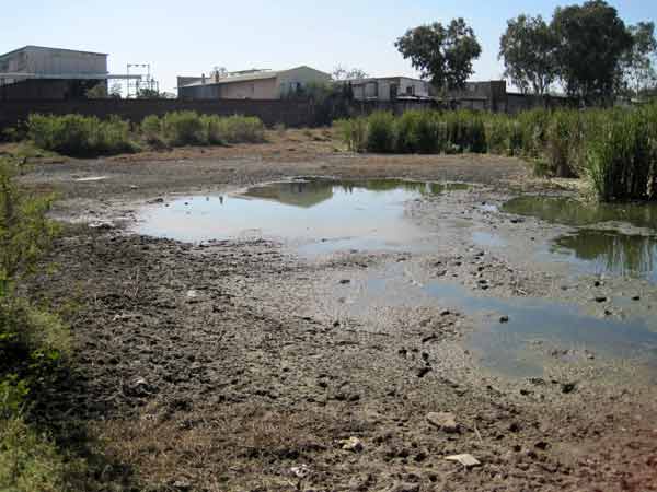 விஷமாகும் நிலத்தடி நீர்