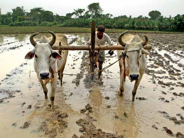 விவசாயிகளுக்கு பாதிப்பு