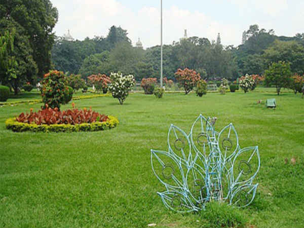 புல்லைக் கூட பிடுங்காதீங்க ப்ளீஸ்!