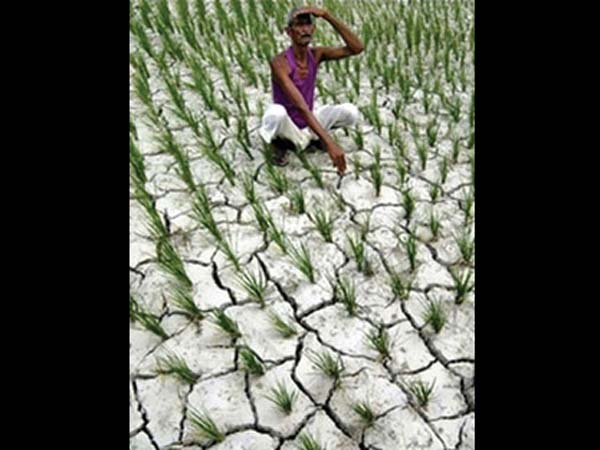 விருதுநகர் விவசாயி