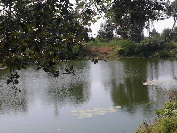 நிலத்தடி நீருக்கு கட்டணம் நிலத்தடி நீருக்கு கட்டணம்