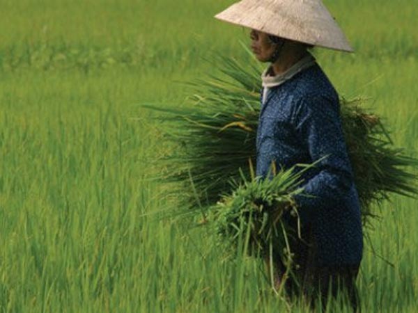 ஆனந்த திருவிழா