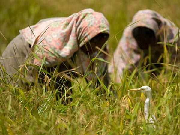 இயற்கையோடு தொடர்பு
