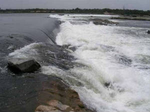 Cauvery Cauvery
