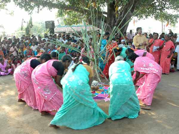 களை கட்டும் விளையாட்டு