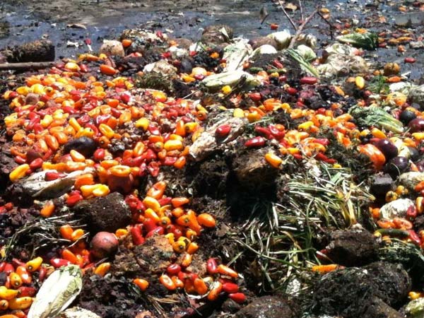 40 சதவிகித காய்கறிகள்