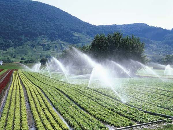 உற்பத்தியை அதிகரிக்கவேண்டும்