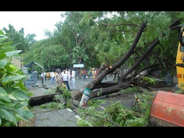 பொழப்பைக் கெடுத்த போபா புயல்