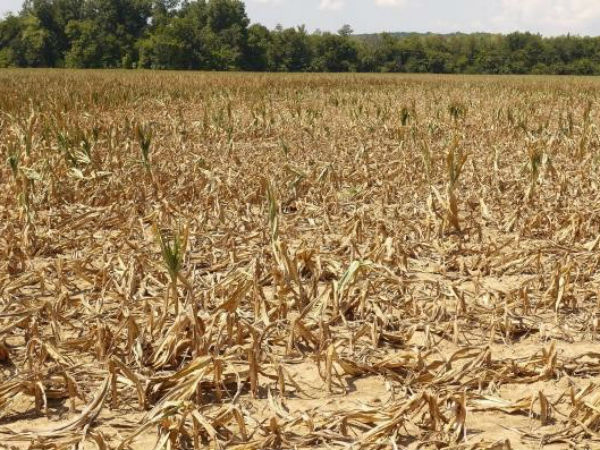 துக்கம் அனுஷ்டித்த விவசாயிகள்