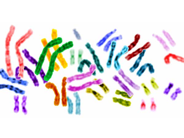 ஜெர்மன் குழு நடத்திய ஆராய்ச்சி: