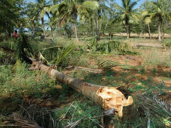 மீண்டும் மீண்டும் நாசம்