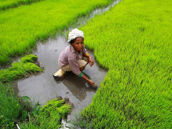 இது ஏழைகளுக்கு சாதகமான பட்ஜெட்டே