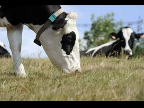 இந்தியாவுக்கு கை கொடுக்கும் நாடுகள்