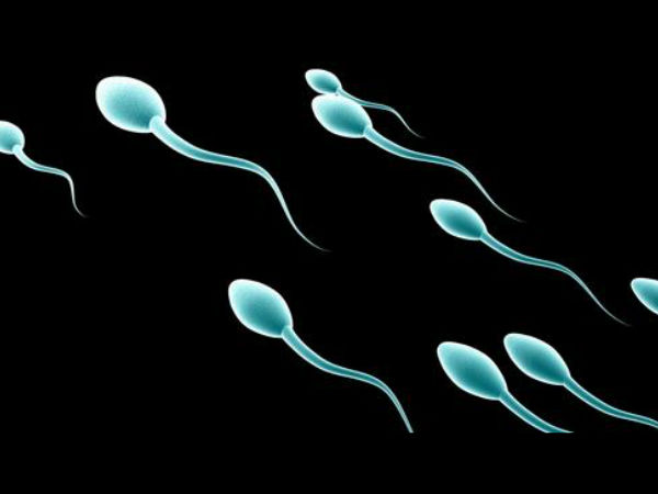 16 மில்லியன் விந்தணுக்கள்