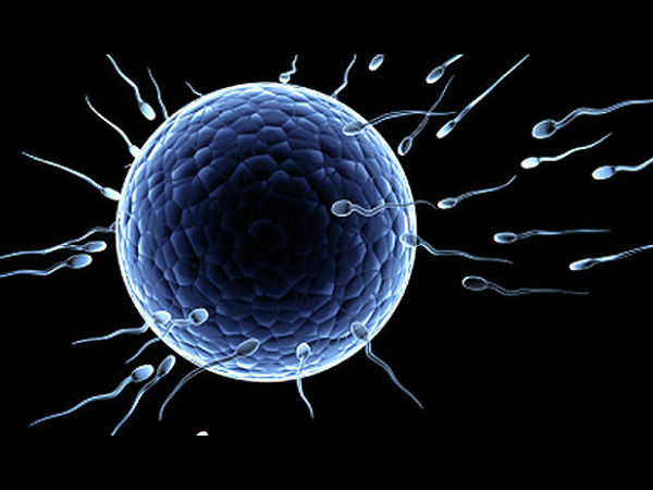 வசந்தகாலம் சரிப்படாது