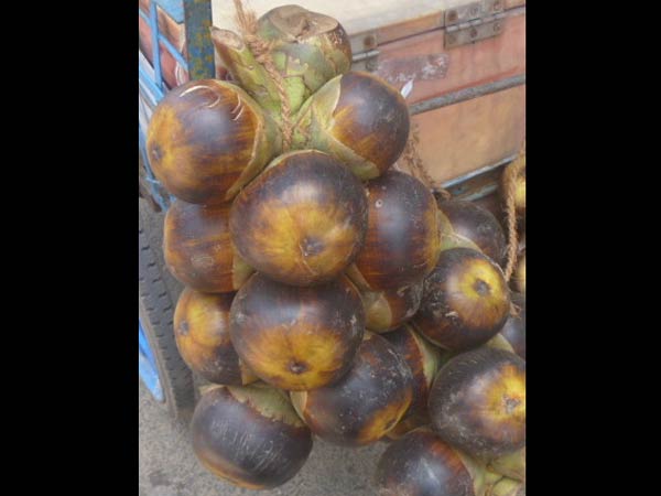 கூல்டிரிங்ஸ் வேண்டாமே