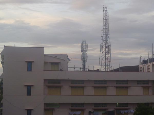 செல்போன் டவர்களினால் பாதிப்பு