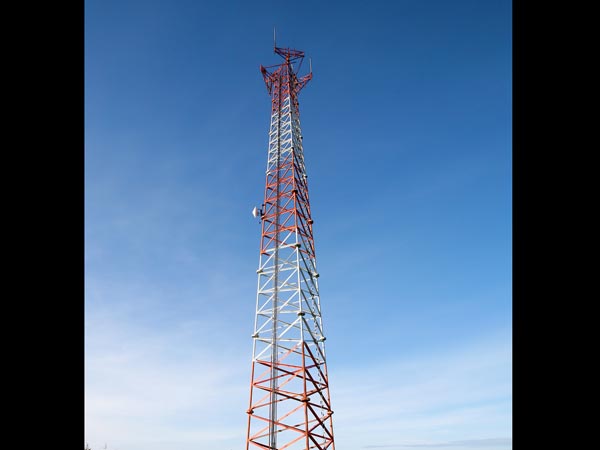 செல்போன் டவர்கள் வேண்டாமே