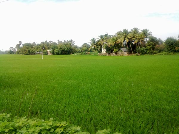 வனத்துறை அனுமதி வேண்டும்