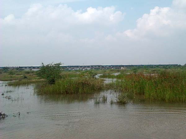 கழிவுநீர் சுத்திகரிப்பு