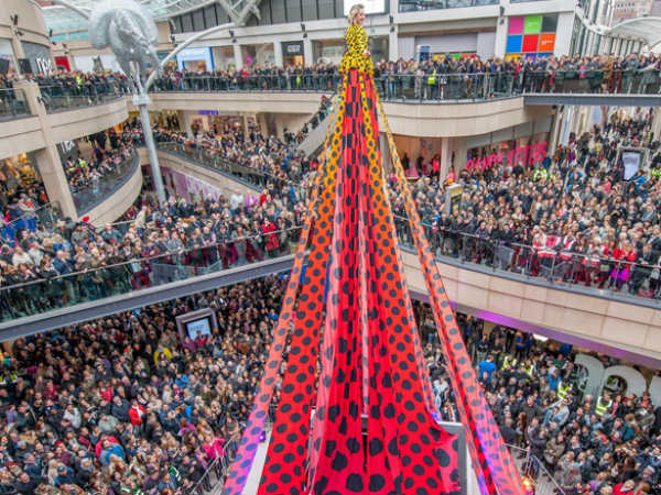 பூச்சிகளின் தூண்டுதலால்...