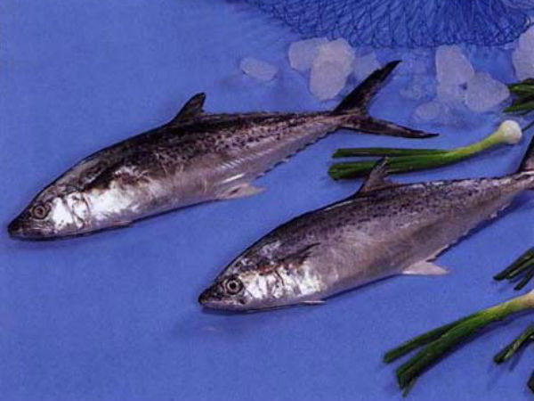 மீன் வரத்து குறைவு