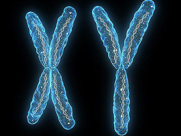 100 ஜீன்கள் குறைந்து விட்டன