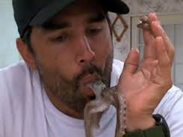 சத்து அதிகமாம்...